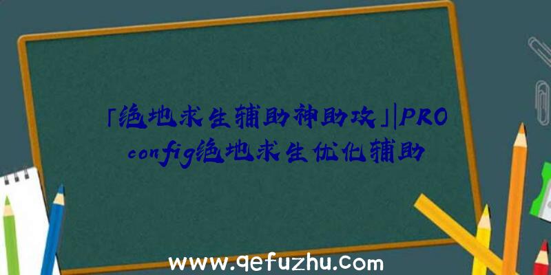 「绝地求生辅助神助攻」|PROconfig绝地求生优化辅助